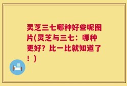 灵芝三七哪种好些呢图片(灵芝与三七：哪种更好？比一比就知道了！)