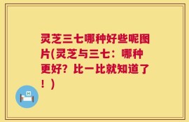 灵芝三七哪种好些呢图片(灵芝与三七：哪种更好？比一比就知道了！)