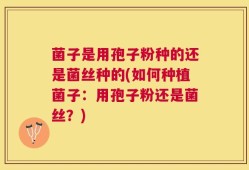 菌子是用孢子粉种的还是菌丝种的(如何种植菌子：用孢子粉还是菌丝？)