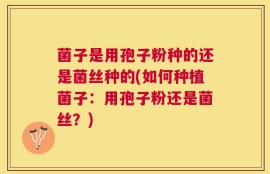 菌子是用孢子粉种的还是菌丝种的(如何种植菌子：用孢子粉还是菌丝？)