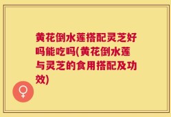 黄花倒水莲搭配灵芝好吗能吃吗(黄花倒水莲与灵芝的食用搭配及功效)