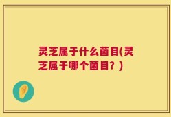 灵芝属于什么菌目(灵芝属于哪个菌目？)