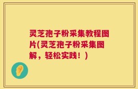 灵芝孢子粉采集教程图片(灵芝孢子粉采集图解，轻松实践！)