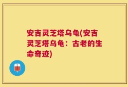 安吉灵芝塔乌龟(安吉灵芝塔乌龟：古老的生命奇迹)