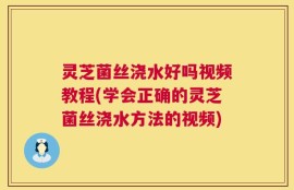 灵芝菌丝浇水好吗视频教程(学会正确的灵芝菌丝浇水方法的视频)