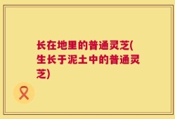 长在地里的普通灵芝(生长于泥土中的普通灵芝)