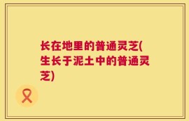 长在地里的普通灵芝(生长于泥土中的普通灵芝)