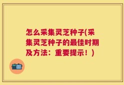 怎么采集灵芝种子(采集灵芝种子的最佳时期及方法：重要提示！)