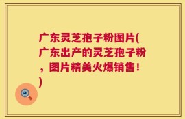 广东灵芝孢子粉图片(广东出产的灵芝孢子粉，图片精美火爆销售！)