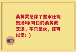 桑黄灵芝除了煮水还能煲汤吗(可口的桑黄灵芝汤，不只是水，还可以煲！)