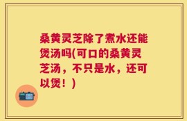桑黄灵芝除了煮水还能煲汤吗(可口的桑黄灵芝汤，不只是水，还可以煲！)