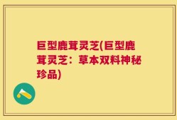 巨型鹿茸灵芝(巨型鹿茸灵芝：草本双料神秘珍品)