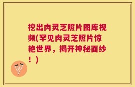 挖出肉灵芝照片图库视频(罕见肉灵芝照片惊艳世界，揭开神秘面纱！)