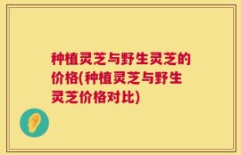 种植灵芝与野生灵芝的价格(种植灵芝与野生灵芝价格对比)
