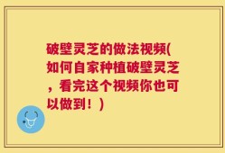 破壁灵芝的做法视频(如何自家种植破壁灵芝，看完这个视频你也可以做到！)