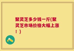 聚灵芝多少钱一斤(聚灵芝市场价格大幅上涨！)
