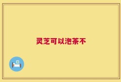 灵芝可以泡茶不
