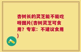 杏树长的灵芝能不能吃呀图片(杏树灵芝可食用？专家：不建议食用)