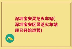 深圳宝安灵芝火车站(深圳宝安区灵芝火车站现已开始运营)
