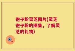 孢子粉灵芝图片(灵芝孢子粉的图集，了解灵芝的礼物)