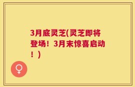 3月底灵芝(灵芝即将登场！3月末惊喜启动！)
