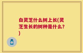 白灵芝什么树上长(灵芝生长的树种是什么？)