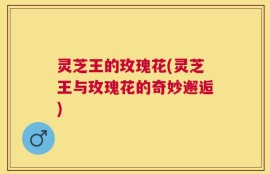灵芝王的玫瑰花(灵芝王与玫瑰花的奇妙邂逅)
