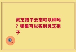 灵芝孢子云南可以种吗？哪里可以买到灵芝孢子