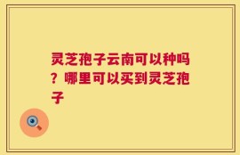 灵芝孢子云南可以种吗？哪里可以买到灵芝孢子