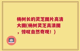 杨树长的灵芝图片高清大图(杨树灵芝高清图，惊叹自然奇观！)