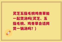 灵芝五指毛桃鸡骨草能一起煲汤吗(灵芝、五指毛桃、鸡骨草合适同煲一锅汤吗？)