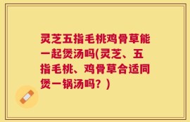 灵芝五指毛桃鸡骨草能一起煲汤吗(灵芝、五指毛桃、鸡骨草合适同煲一锅汤吗？)