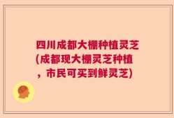 四川成都大棚种植灵芝(成都现大棚灵芝种植，市民可买到鲜灵芝)