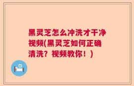 黑灵芝怎么冲洗才干净视频(黑灵芝如何正确清洗？视频教你！)