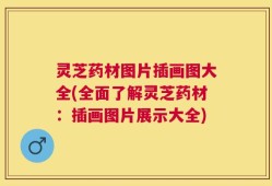 灵芝药材图片插画图大全(全面了解灵芝药材：插画图片展示大全)