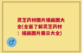 灵芝药材图片插画图大全(全面了解灵芝药材：插画图片展示大全)