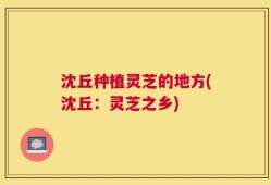 沈丘种植灵芝的地方(沈丘：灵芝之乡)
