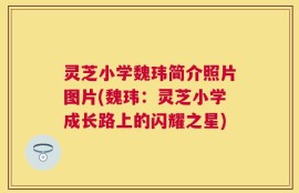 灵芝小学魏玮简介照片图片(魏玮：灵芝小学成长路上的闪耀之星)