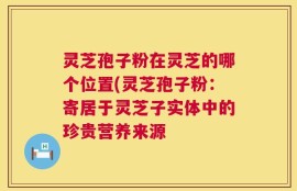灵芝孢子粉在灵芝的哪个位置(灵芝孢子粉：寄居于灵芝子实体中的珍贵营养来源