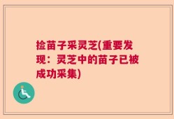 捡苗子采灵芝(重要发现：灵芝中的苗子已被成功采集)