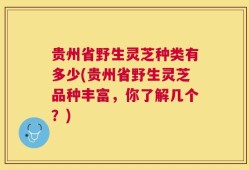 贵州省野生灵芝种类有多少(贵州省野生灵芝品种丰富，你了解几个？)