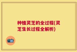 种植灵芝的全过程(灵芝生长过程全解析)