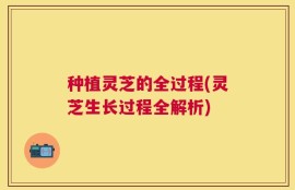种植灵芝的全过程(灵芝生长过程全解析)