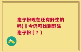 孢子粉现在还有野生的吗(現今仍可找到野生孢子粉嗎？)