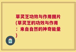 草灵芝功效与作用图片(草灵芝的功效与作用：来自自然的神奇能量)