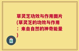 草灵芝功效与作用图片(草灵芝的功效与作用：来自自然的神奇能量)