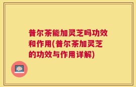 普尔茶能加灵芝吗功效和作用(普尔茶加灵芝的功效与作用详解)