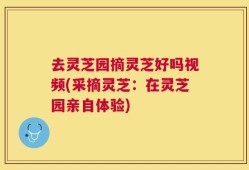去灵芝园摘灵芝好吗视频(采摘灵芝：在灵芝园亲自体验)