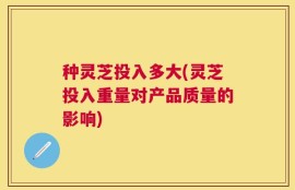 种灵芝投入多大(灵芝投入重量对产品质量的影响)