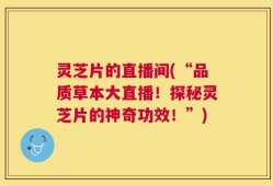 灵芝片的直播间(“品质草本大直播！探秘灵芝片的神奇功效！”)